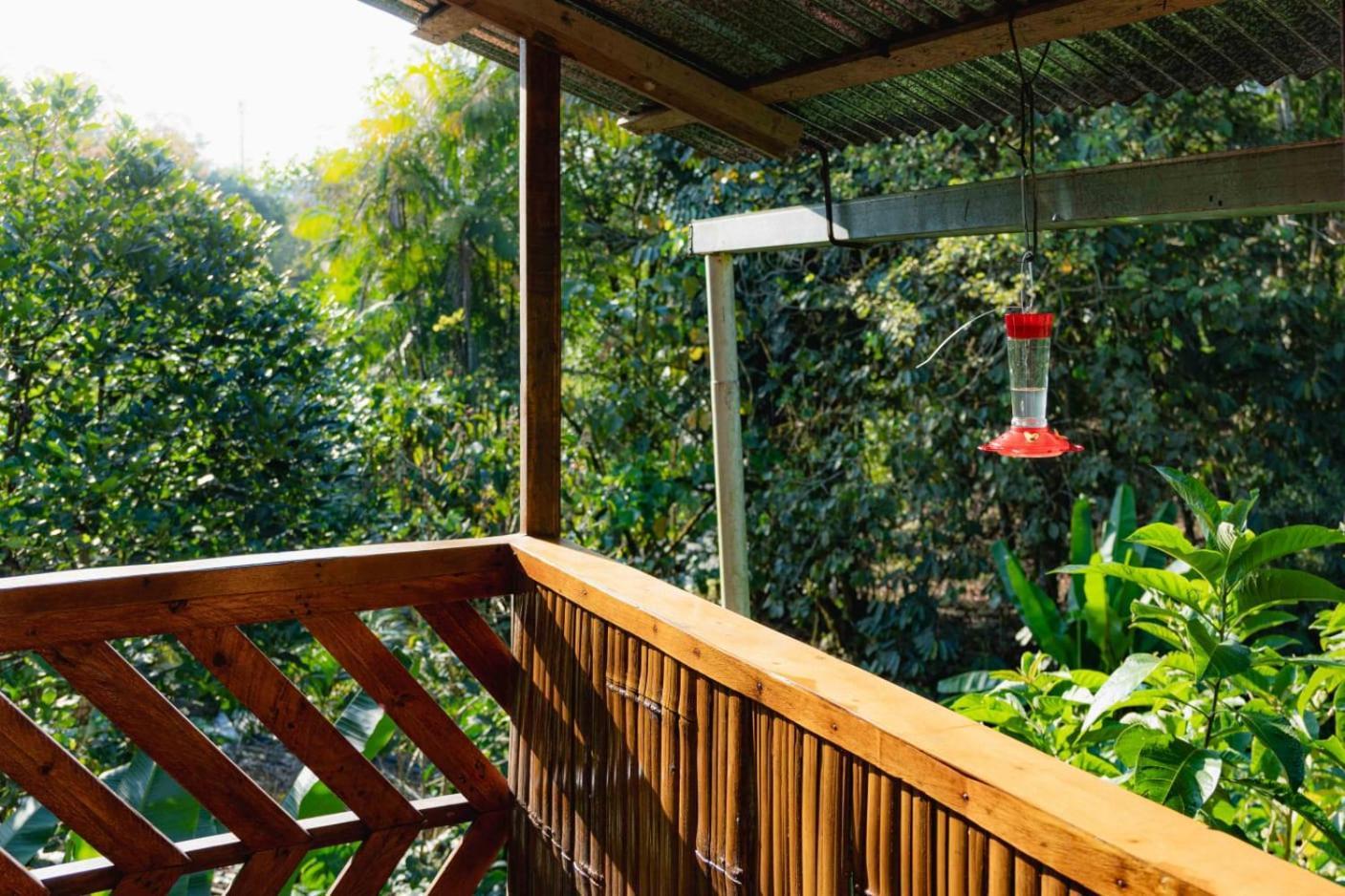 Mindo Glambird Glamping & Lodge Eksteriør bilde