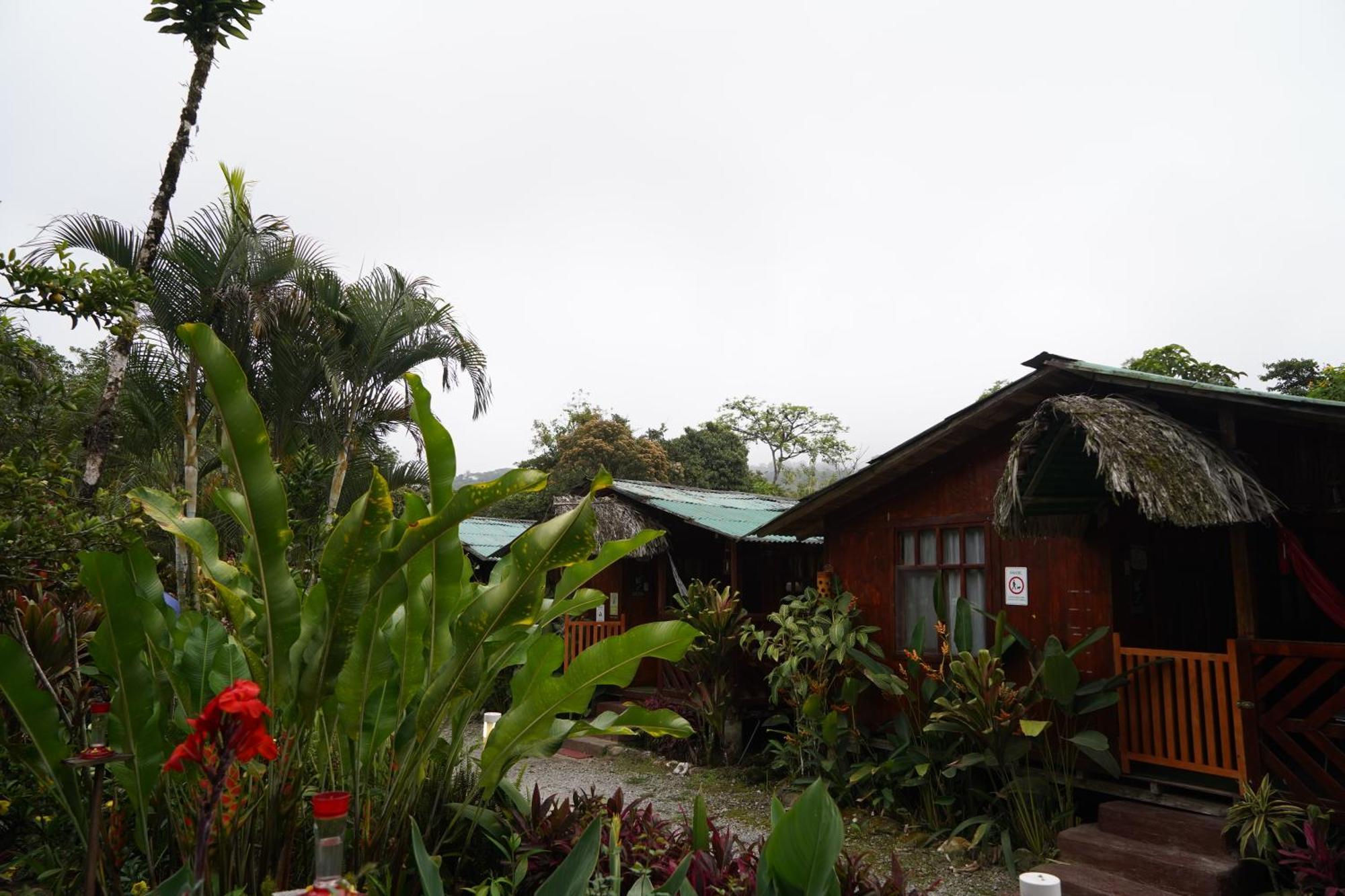 Mindo Glambird Glamping & Lodge Eksteriør bilde